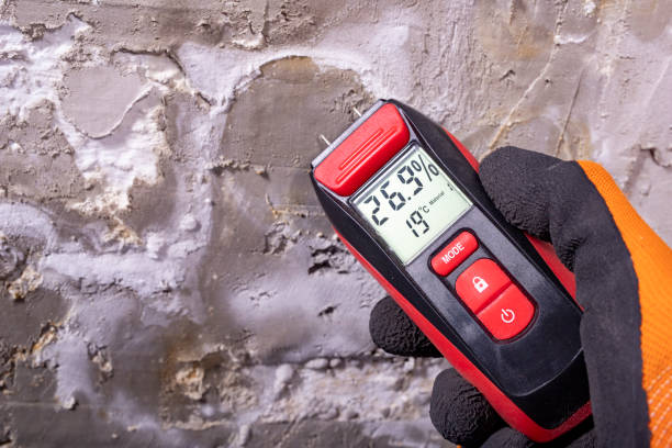 Best Crawl Space Mold Removal  in Neshanic Station, NJ