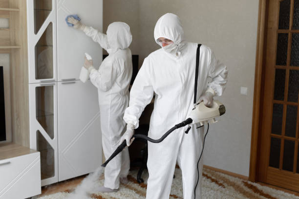 Best Certified Mold Removal  in Neshanic Station, NJ