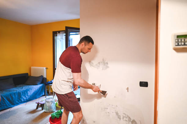 Best Home Mold Removal  in Neshanic Station, NJ