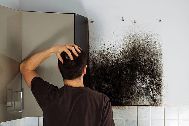 Best Fast Mold Removal  in Neshanic Station, NJ